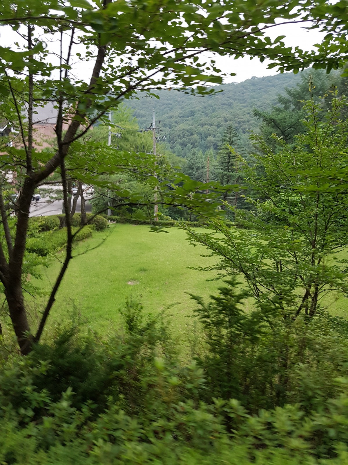 20170722_191431.jpg
